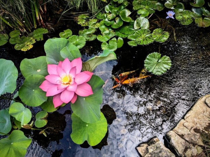 Getting Out of the “Muck” During Challenging Times